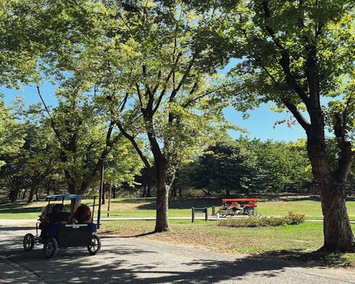 Family riding bicycles inside a large green public park on a sunny day